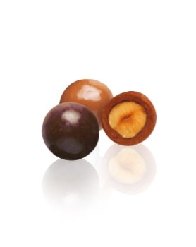 NOISETTES CHOCO LAIT