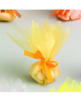 50 TULLES CRISTAL